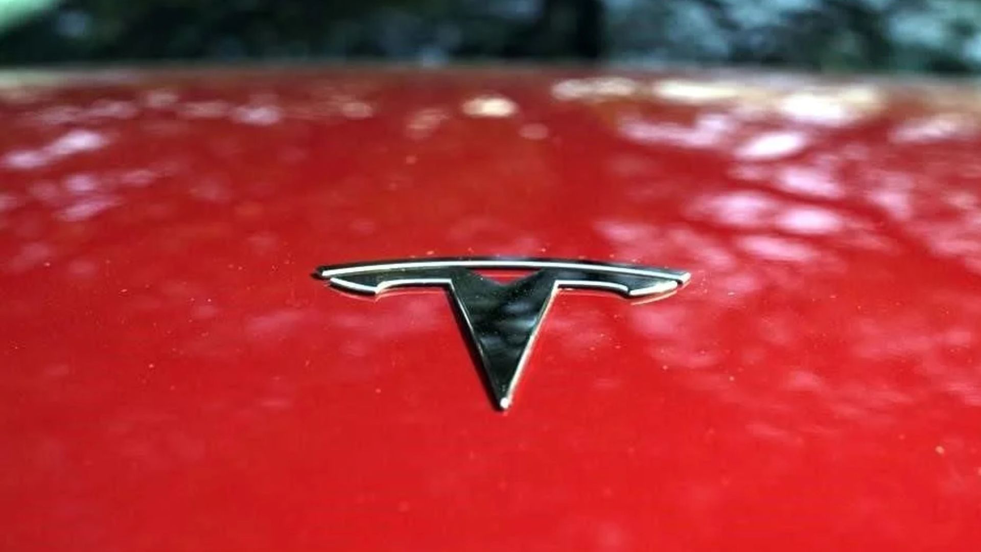 Pausa Musk planta de Tesla en México