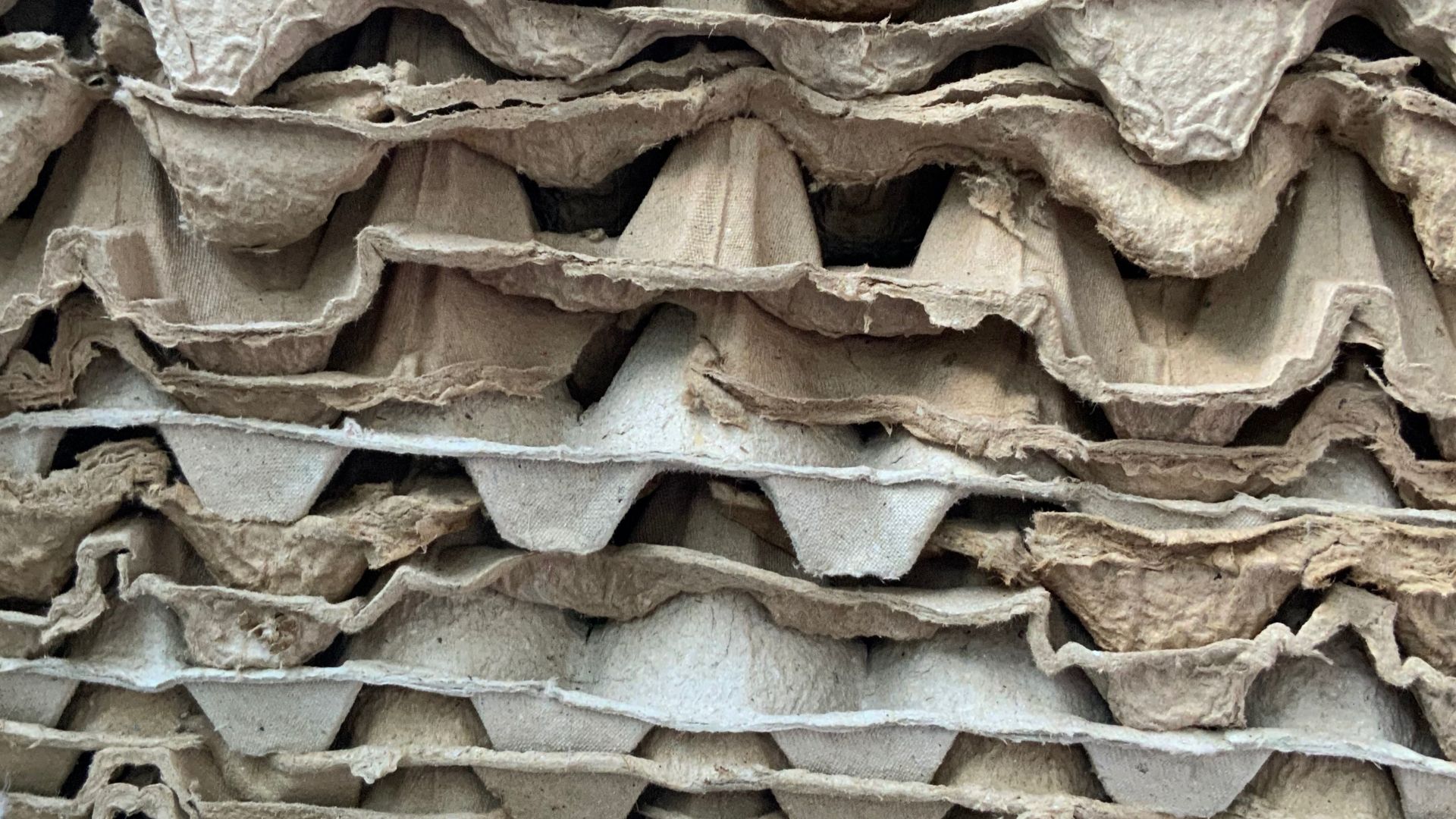 Ingeniería de cartón reciclado con semillas listas para plantar